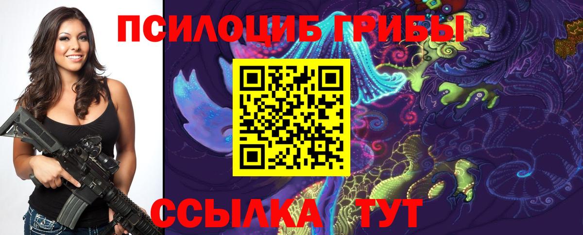 наркота  Псилоцибиновые грибы GOLDEN TEACHER  Вход с VPN  Псков 